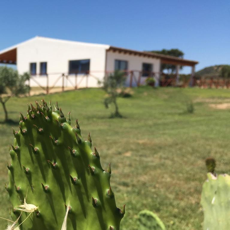 オルビア Agriturismo Mieleamaroヴィラ エクステリア 写真