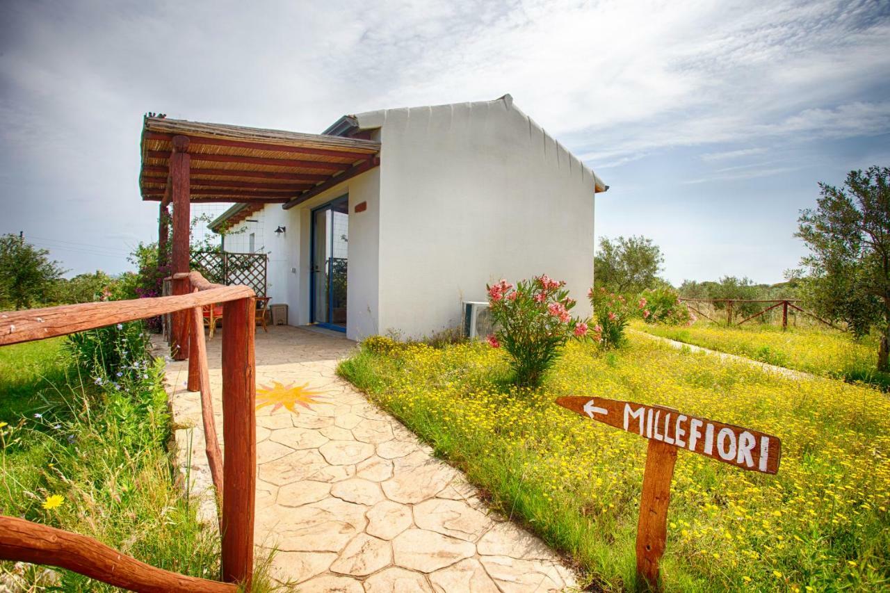 オルビア Agriturismo Mieleamaroヴィラ エクステリア 写真