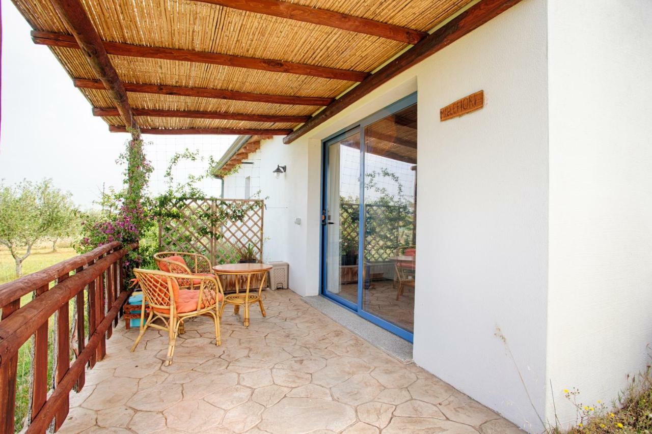 オルビア Agriturismo Mieleamaroヴィラ エクステリア 写真