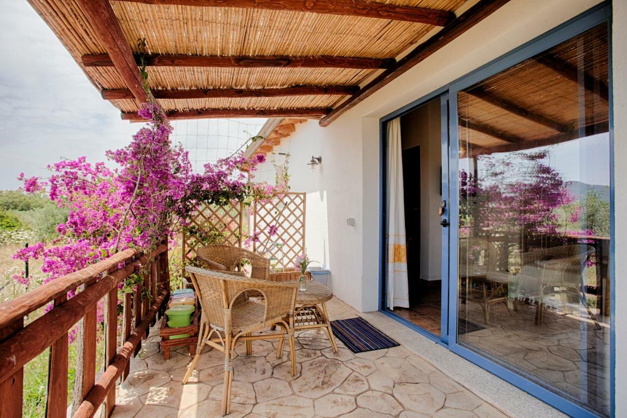 オルビア Agriturismo Mieleamaroヴィラ エクステリア 写真